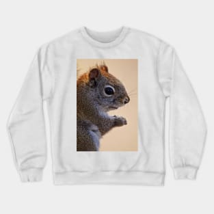 Red Squirrel Crewneck Sweatshirt